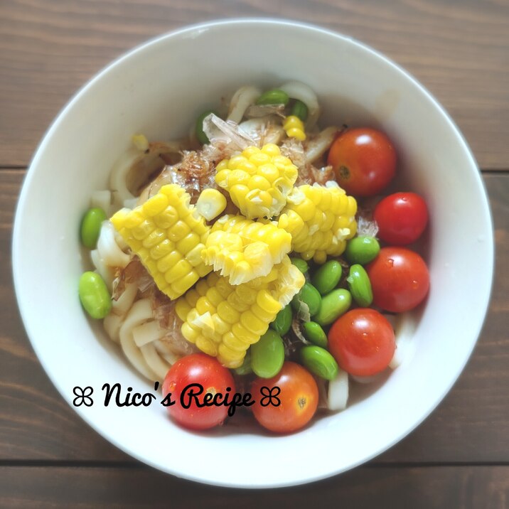 彩り夏野菜うどん
